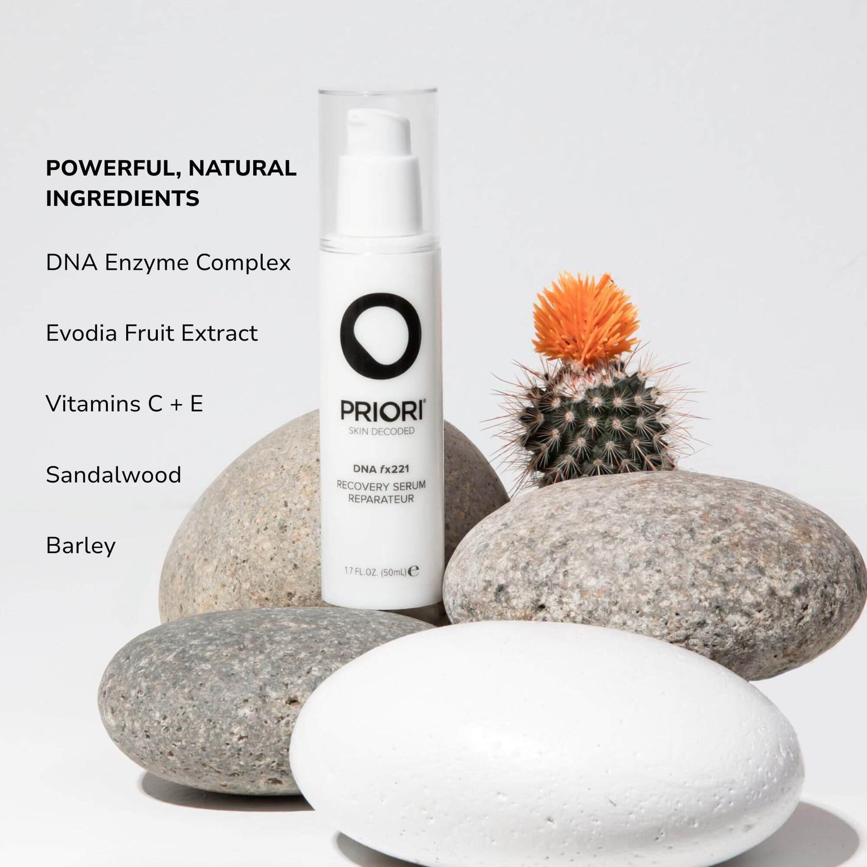Priori DNA Recovery Serum featuring powerful natural ingredients like evodia fruit extract, Vitamin C, Sandalwood, and Barley on a backdrop with rocs and a baby cactus